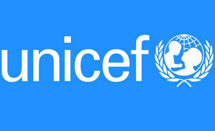 Read more about the article Health Manager (Maternal Newborn and Child Health) position open at UNICEF