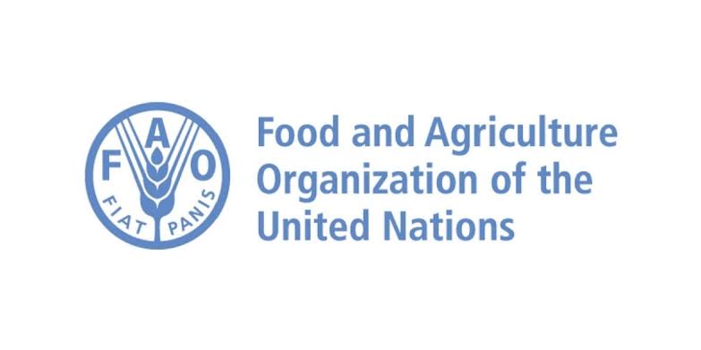You are currently viewing Food and Agriculture Organization (FAO) of the United Nations Internship Programme for Africa (RAF)
