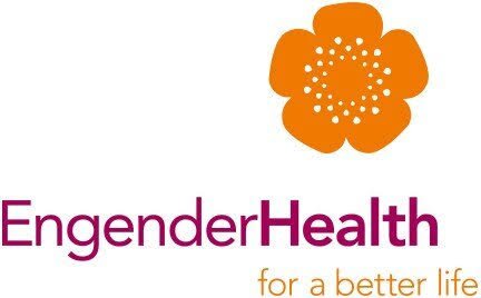 You are currently viewing Monitoring and Evaluation Officer – Engenderhealth