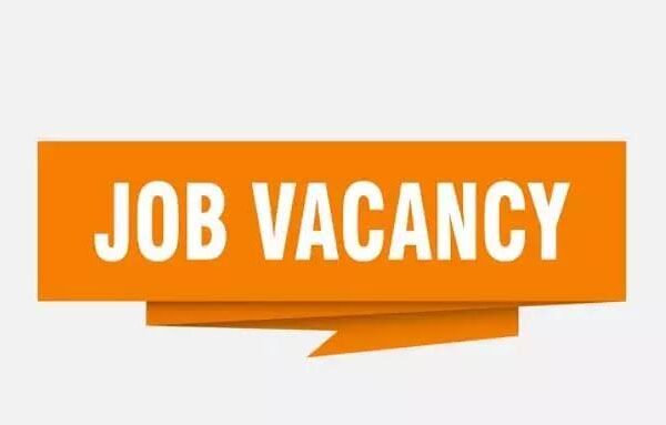 You are currently viewing Druggist/ Pharmacist – Global Pharmacy