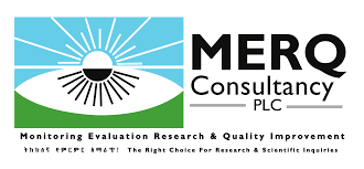 You are currently viewing Quantitative Data Collector – MERQ consultancy PLC