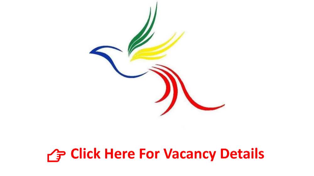 You are currently viewing Ergib Academy Vacancy Announcement (School Nurse)